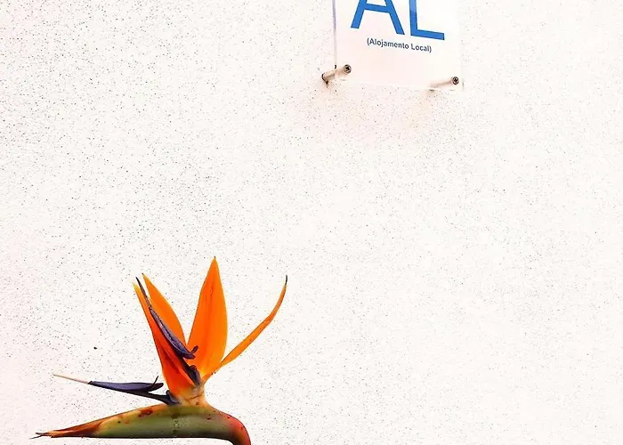 Avenida Affittacamere